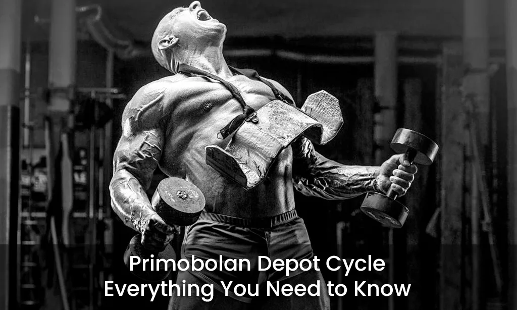 Primobolan Depot Cycle