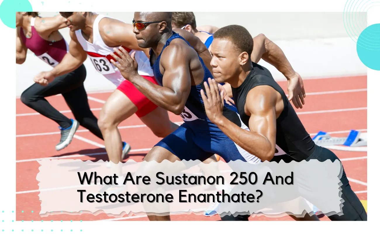 Sustanon 250 And Testosterone Enanthate