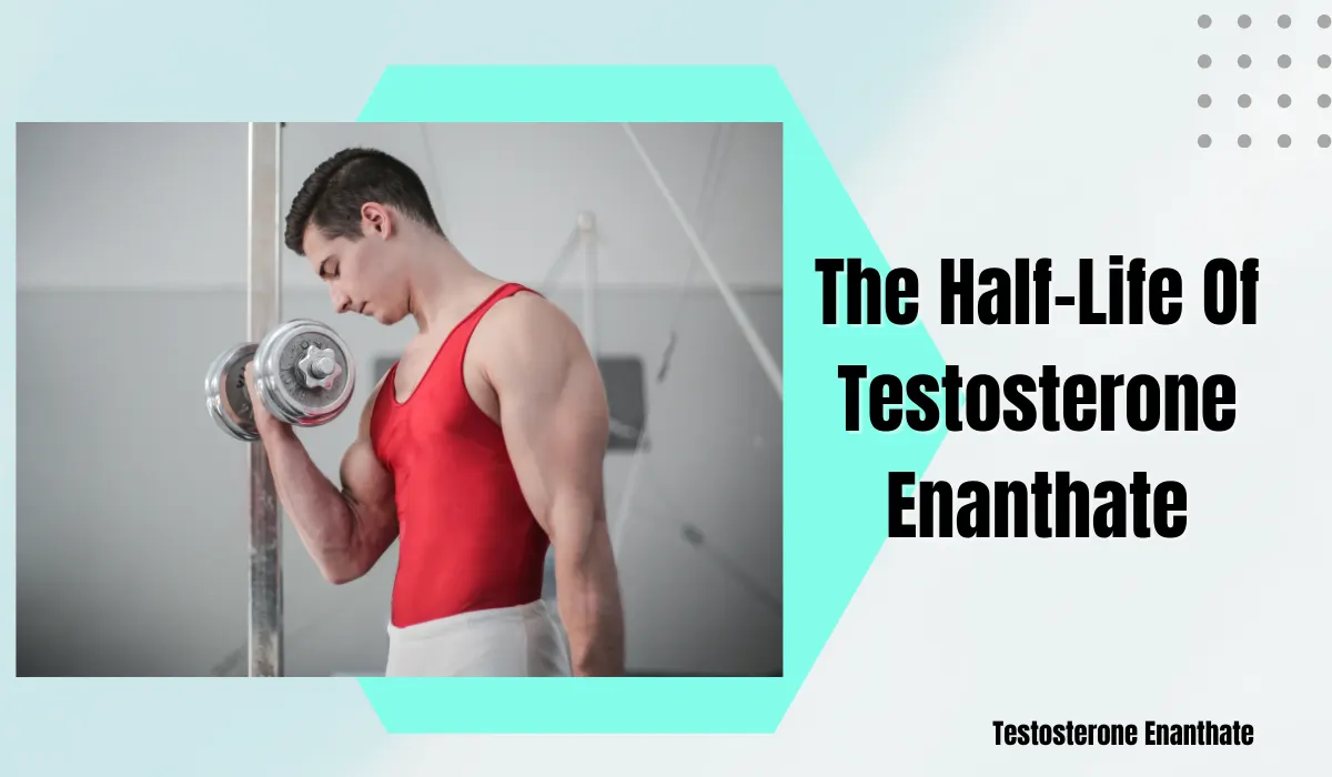 The half-life of Testosterone Enanthate