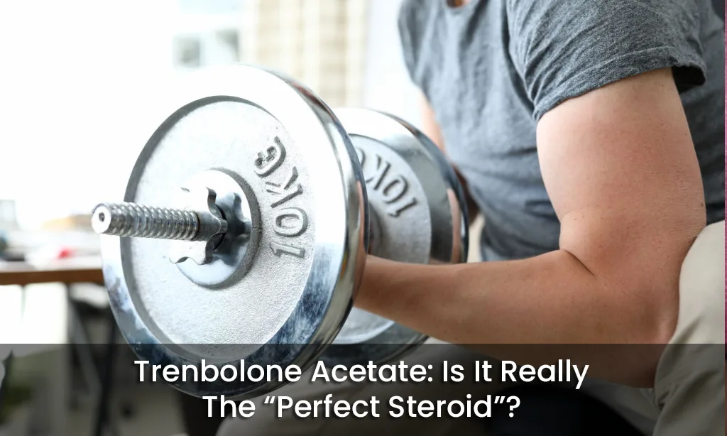 Trenbolone Acetate: Is It Really The “Perfect Steroid”?